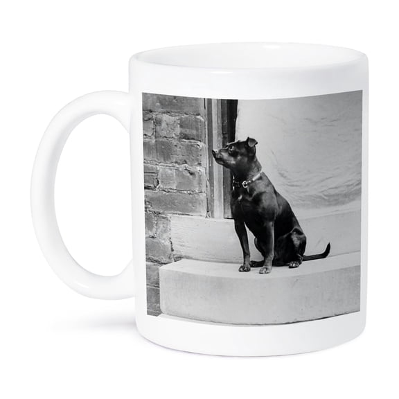 3dRose, Vintage Terrier Named Bruce On Front Stoop Circa 1910 Dog, 15oz Mug