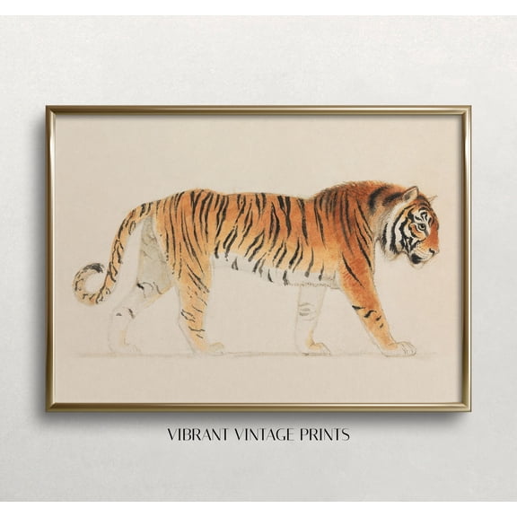 Vintage Tiger Neutral Tone Print, Unframed Paper Poster 8x10in