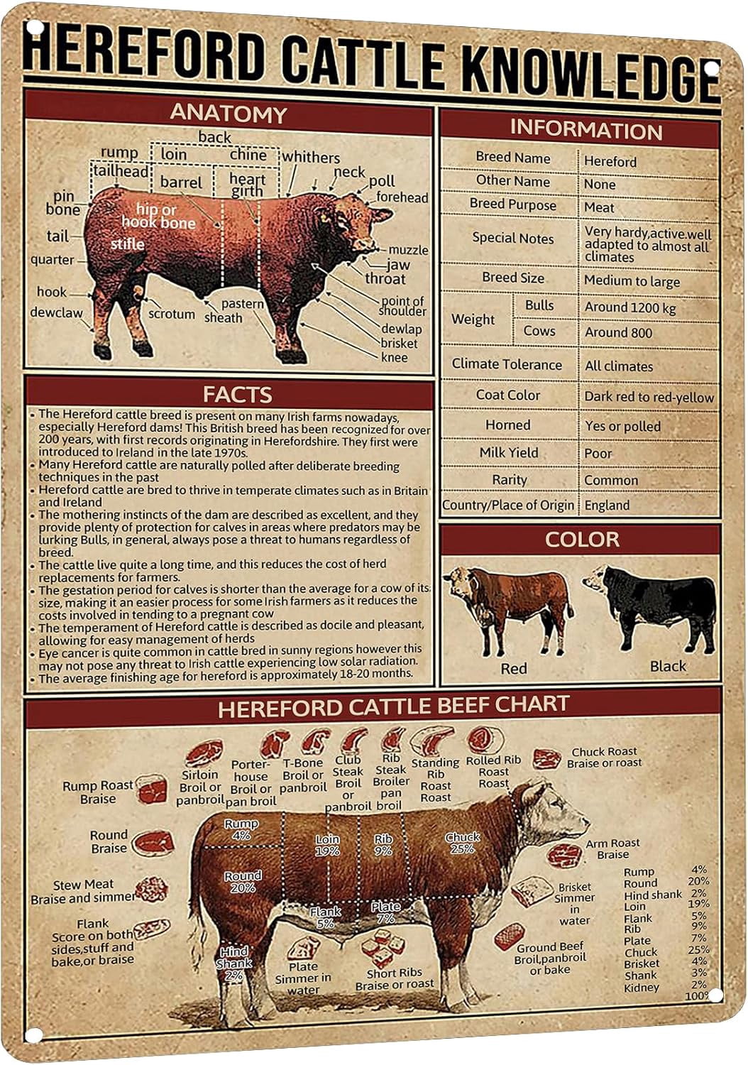 Vintage Tin Sign Hereford Cattle Knowledge Beef Educational Unique ...
