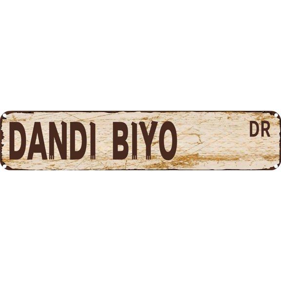 Vintage Tin Sign Retro Metal Wall Decor DANDI BIYO DR Rustic Aluminum Plaque for Home,Bar,Kitchen,Garage,Man Cave 4x16 Inch