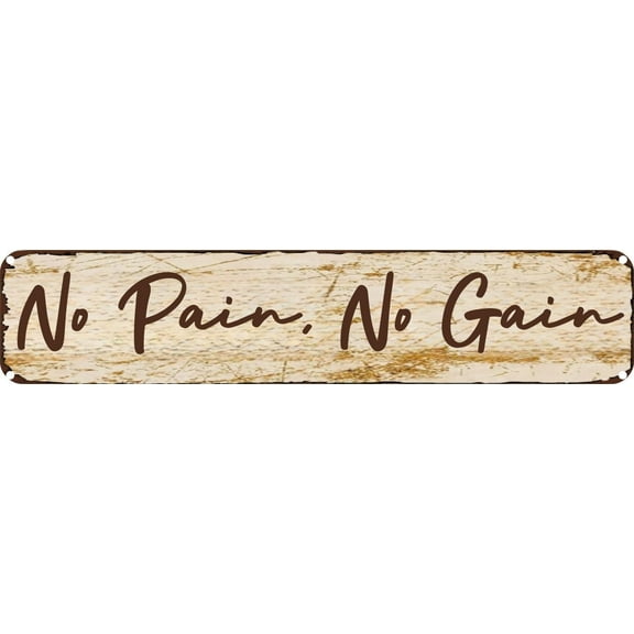 Vintage Tin Sign Retro Metal Wall Decor No Pain,No Gain Rustic Aluminum Plaque for Home,Bar,Kitchen,Garage,Man Cave 4x16 Inch