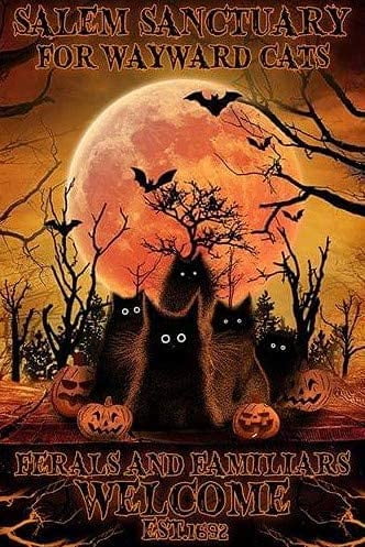 Vintage Tin Sign Anctuary For Wayward Cats Halloween Cat Pumpkin Tin