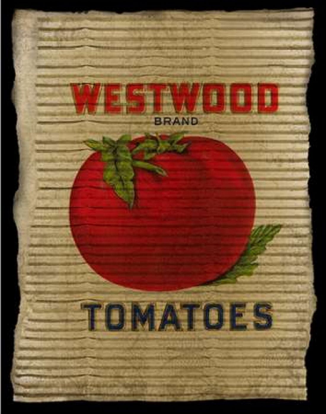 Vintage Tomatoes Canvas Art - Beth Albert (22 x 28)