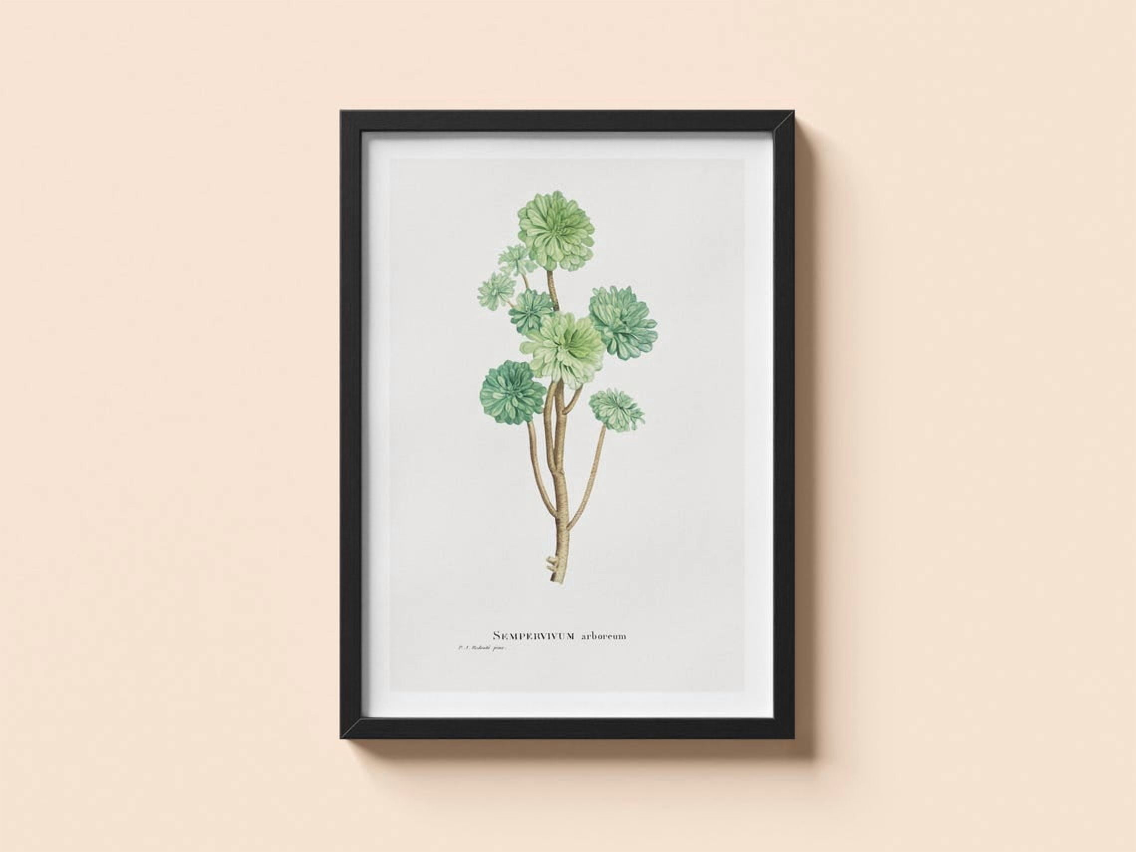 Pierre's Tree Vintage Tree Houseleek Pierre-Joseph Redoute Botanical Plant Art Home ...