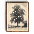 thumbnail image 1 of Vintage Tree Oak Tree Botanical Poster Cottagecore Wall Art Dark Academia Decor Dark Cottagecore Decor Farmhouse Wall Art Vintage0, 24x36 UNFRAMED, 1 of 3