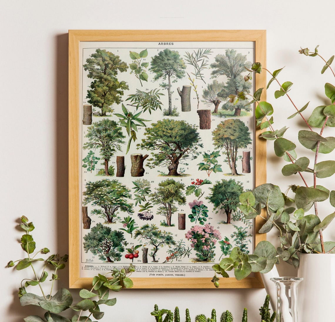 Vintage Tree Poster, Larousse Book Page Art, Botanical Poster, Tree ...