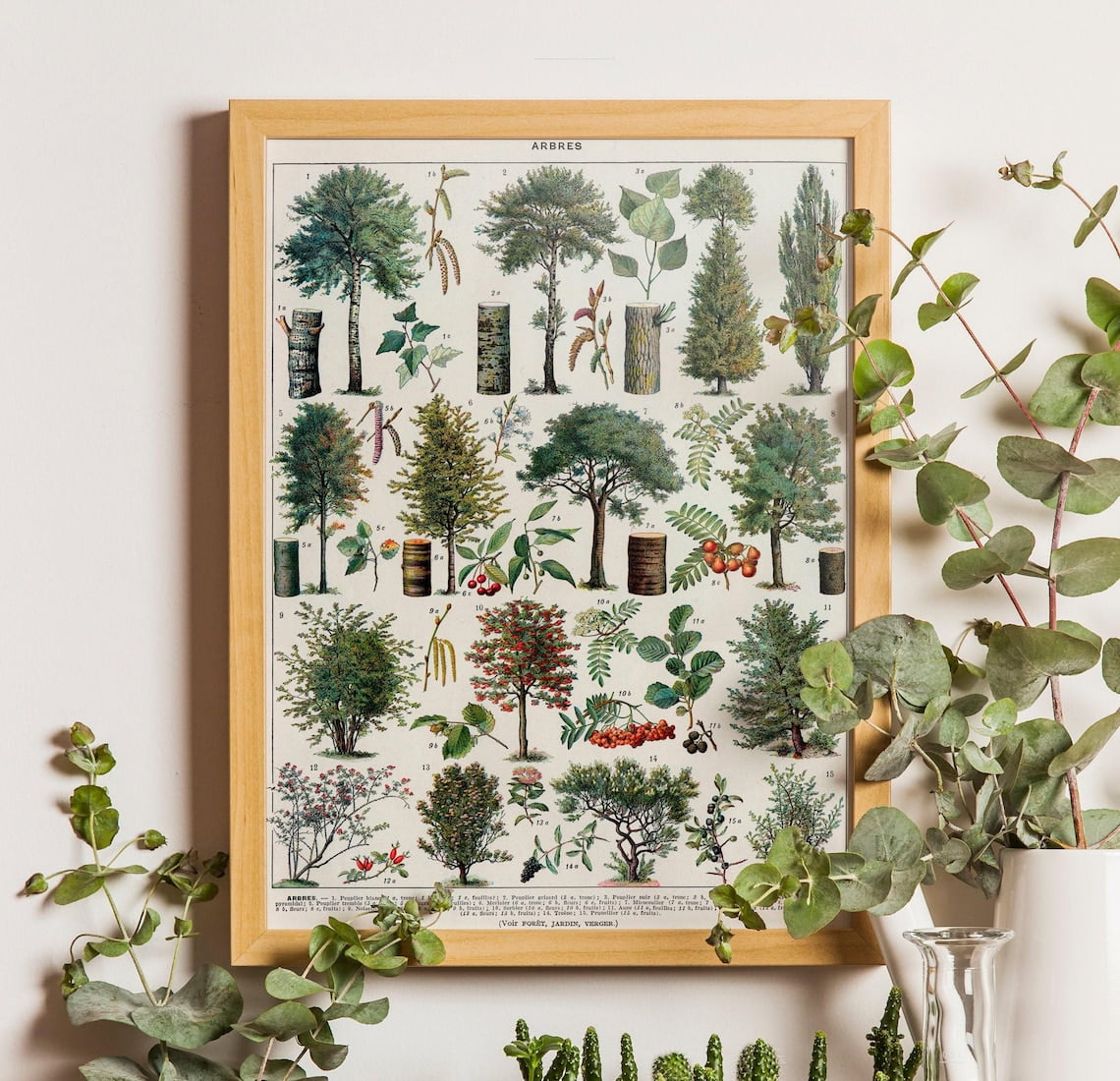 Vintage Tree Poster, Tree Species Wall Art, Trees Poster Vintage, Trees ...