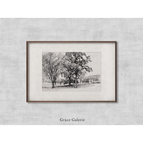 Vintage Tree Sketch, Charles River, Vintage Etching, Neutral Grey Wall Art, Vintage Sketch Art, Soft Deco, Art Home Decor #2236, 24x36 UNFRAMED