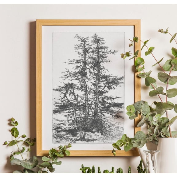 Vintage Tree Sketch Poster: Rustic Nature Etching Art, Unframed Canvas Size 8x12
