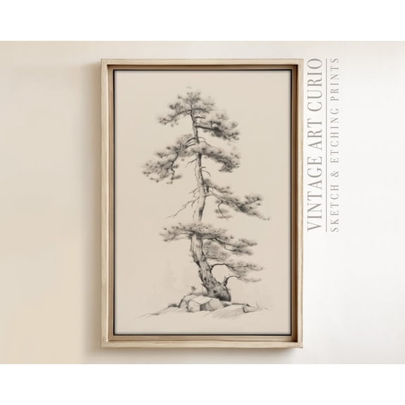 Vintage Tree Sketch, Rustic Country Farmhouse Decor, XL Art, Vintage Etching Drawing, Vintage Sketch Drawing Unframed Paper Print
