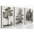 Vintage Tree Sketch Set of 3,Forest Print Antique Tree Drawings