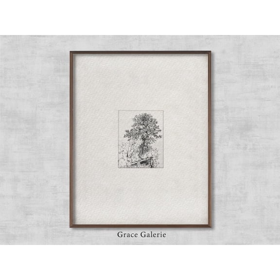Vintage Tree Sketch, Sugar Maple, Vintage Etching, Neutral Grey Wall Art, Vintage Sketch Art, Soft Deco, Art Home Decor #2138, 8x12 UNFRAMED