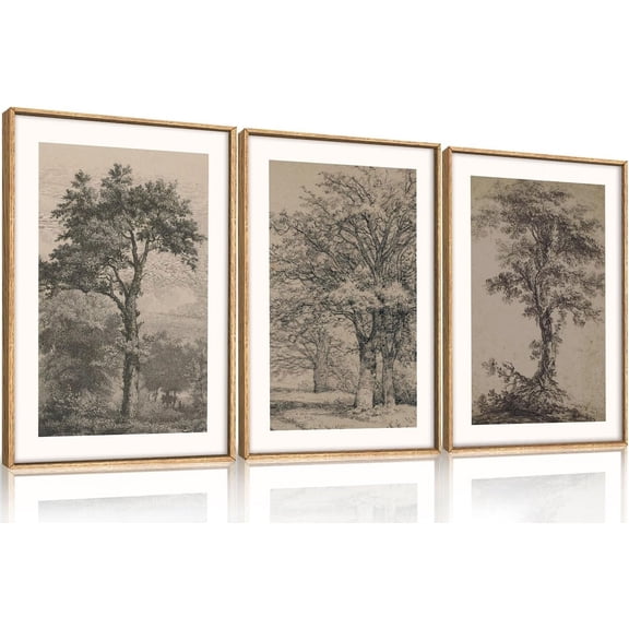 Vintage Tree Sketch Wall Art Set, Antique Tree Drawings Wall Decor, Nature Sketch Wall Painting, Framed Botanical Canvas Art Prints for Living Room, Bedroom, Dinning Room, Farmhouse - 16"x24"x3