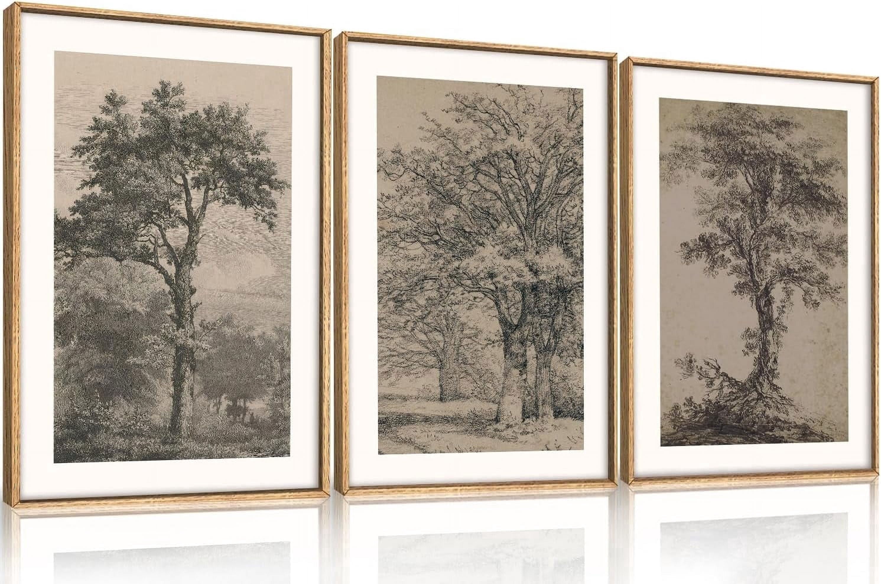 Vintage Tree Sketch Wall Art Set, Antique Tree Drawings Wall Decor, Nature Sketch Wall Painting, Framed Botanical Canvas Art Prints for Living Room, Bedroom, Dinning Room, Farmhouse - 16"x24"x3