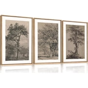 Vintage Tree Sketch Wall Art Set, Antique Tree Drawings Wall Decor, Nature Sketch Wall Painting, Framed Botanical Canvas Art Prints for Living Room, Bedroom, Farmhouse - 16x24x3