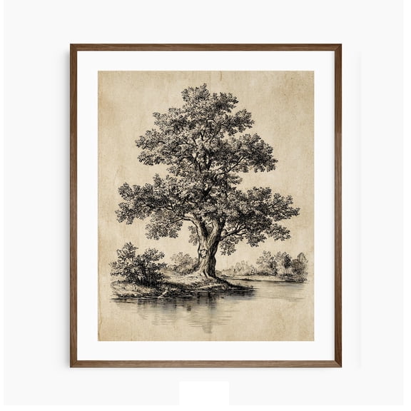 Vintage Tree Tree Sketch Art Botanical Nature Print Elegant Home Decor Neutral Wall Decor Oak Tree Etching