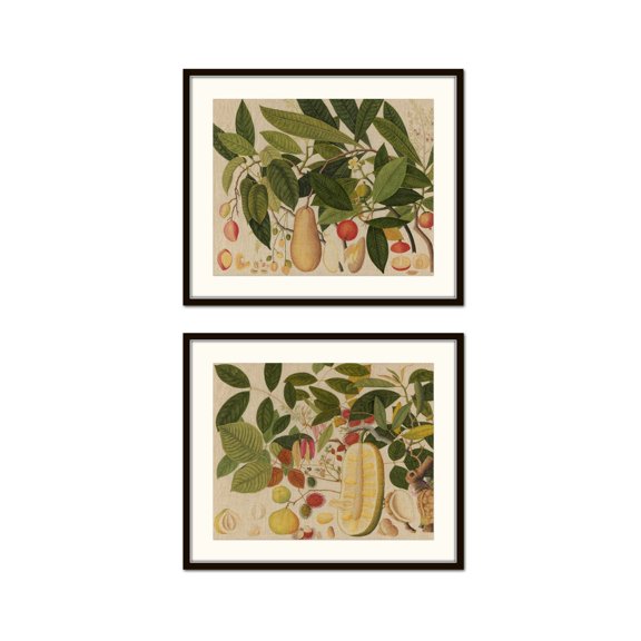 Vintage Tropical Fruit Collage Set Vintage Fruit Prints Vintage Botanical Art Wall Art Home Decor Chinoiserie Coastal Art Set