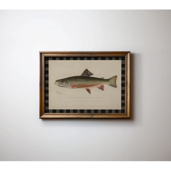 Vintage Trout Cottagecore Fish Poster Unframed Paper Print