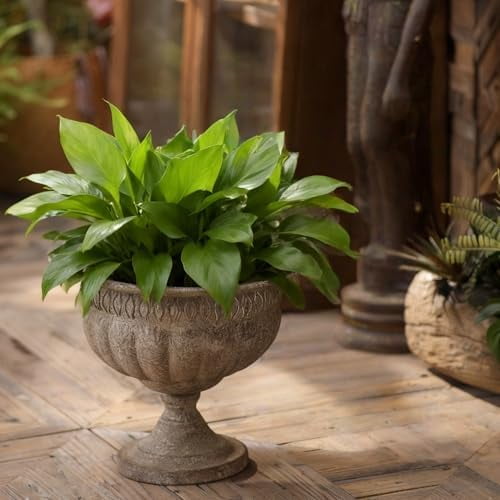 Vintage Urn Planter with Embossed Pattern, Imitation Stone Finish Flower Pot, Distressed Classic Plant Pot for Outdoor Indoor Home Garden Patio Front Porch Entryway14.8 * 12 in$$