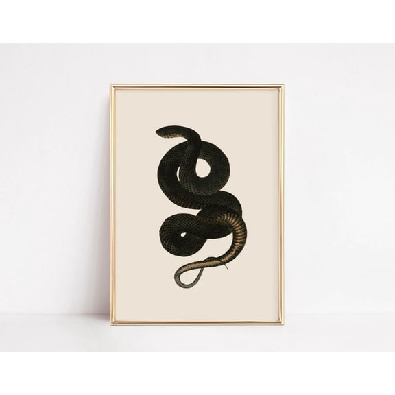 Vintage Wall Decor Art Snake Poster Gothic Decorations Dark Academia Poster, Unframed Poster Size 8x12