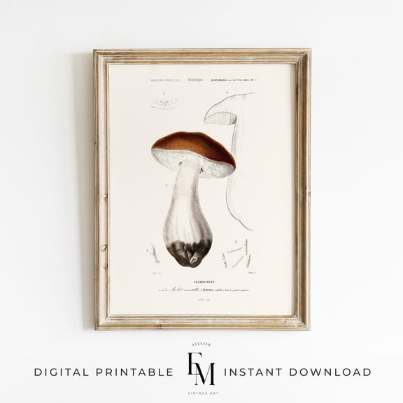 Vintage Wall Print Fall Wall Pictures Mushrooms Vintage Fungi Wall Art Print Seasonal Wall Decor Fall Cozy Decor Antique Botanical Home Decor #2594, Unframed Poster Size 8x12