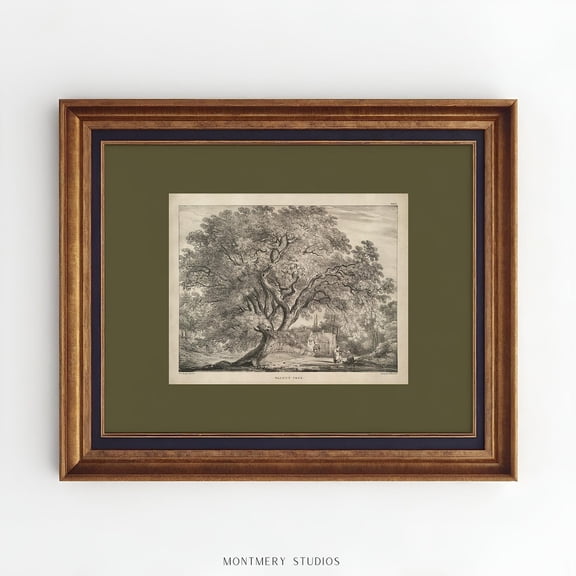 Vintage Walnut Tree Art, Walnut Tree Drawing, Antique Tree Print Poster, Sage Green Wall Art Poster, Landscape Sketch, Dark Green Wall Art Poster, , A12, Unframed Poster Size 12x18 F03.1.19l266