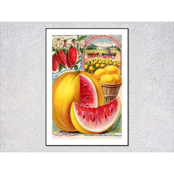 Vintage Watermelon Botanical Poster, Unframed Paper Poster 8x10in