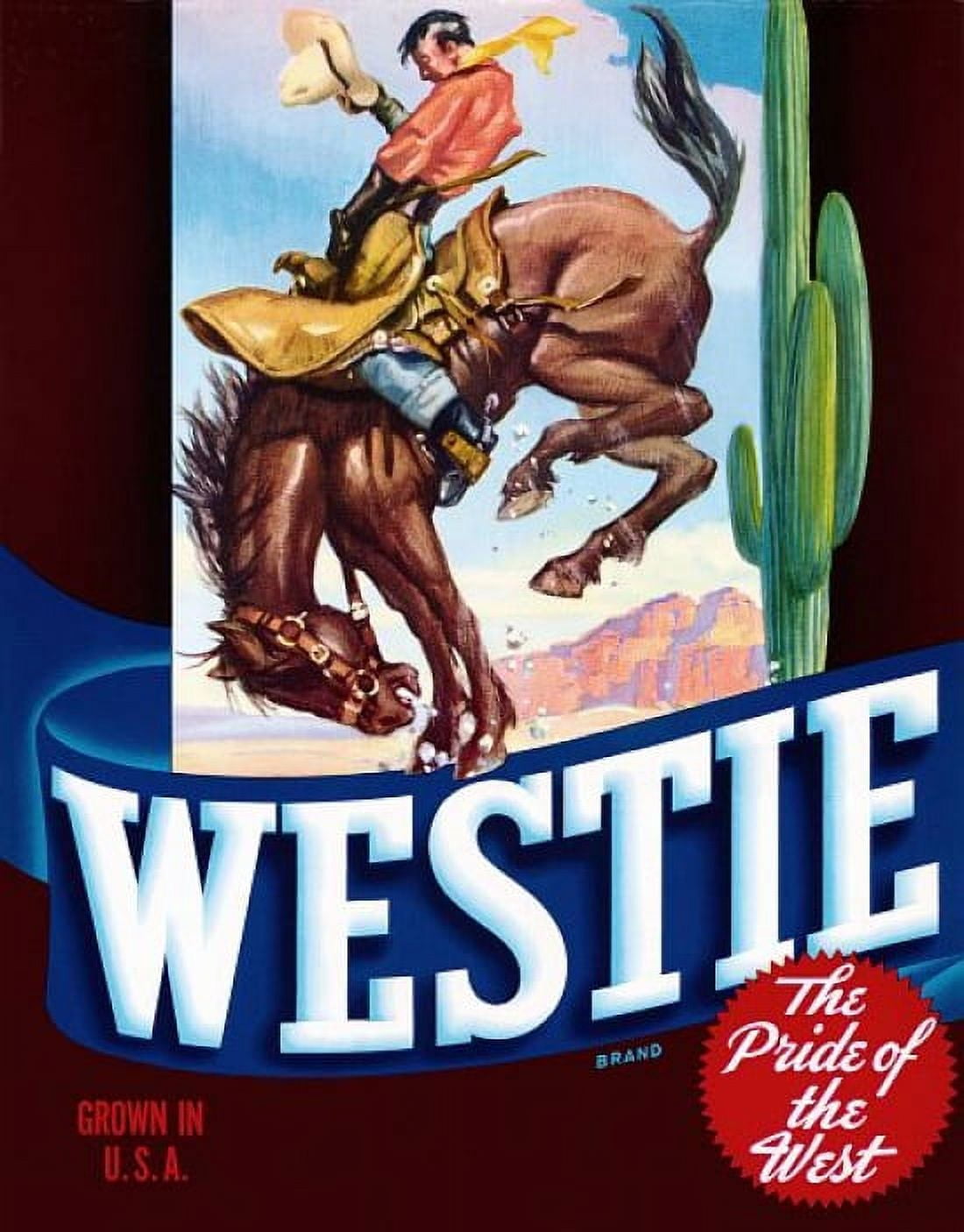 Vintage Westie Label Canvas Art - (36 x 54)
