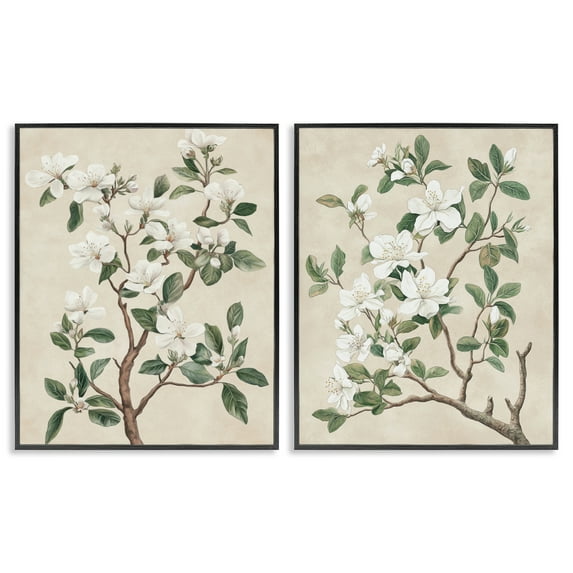 Stupell Industries Vintage White Floral Blossomed Trees 2 Piece Black Framed Giclee Art Set, design by Petal Prints Design