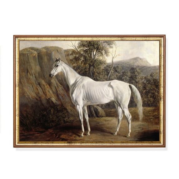 Vintage White Horse, Moody Equine Art, Farmhouse Decor Home Decor, 12x18 UNFRAMED