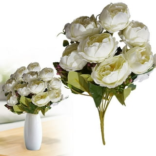 Dried White Flowers