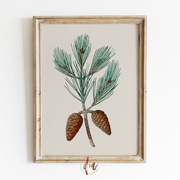 Vintage Winter Botanical Print, Branches With Pinecones Drawing, Vintage Botanical Country Farmhouse Decor Wall Art, Modern Wall Decor, 16x24 UNFRAMED