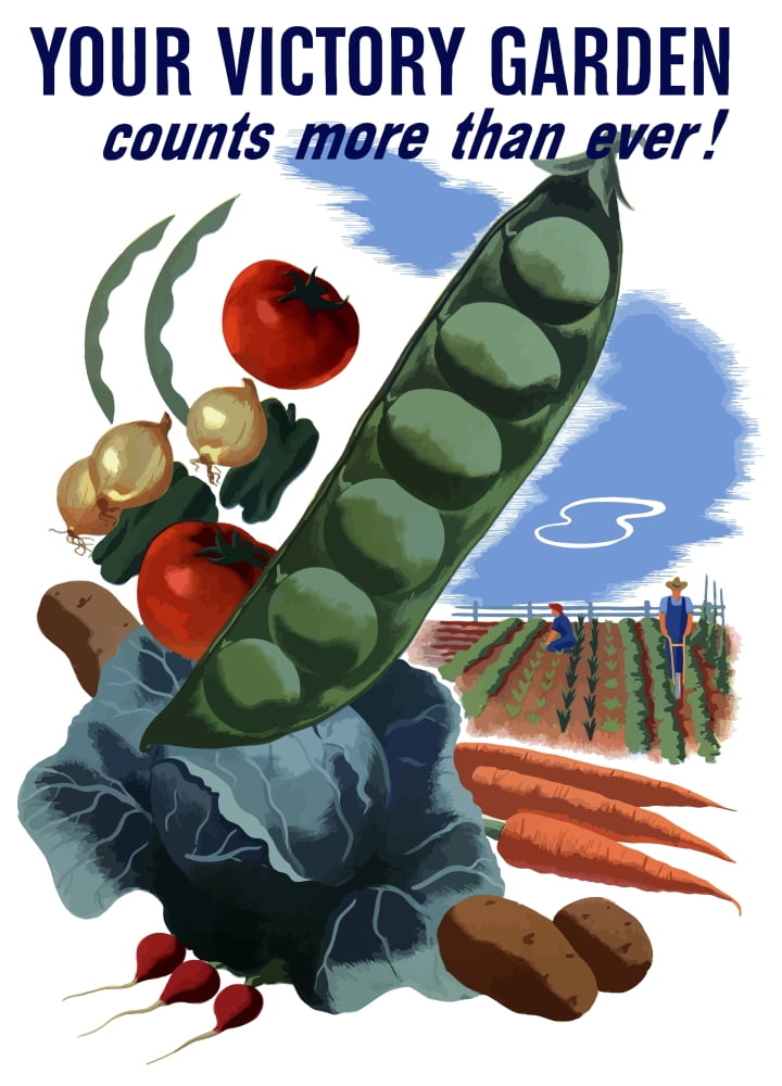 Vintage World War II poster of vegetables and a garden Canvas Art - John ParrotStocktrek Images (24 x 34)