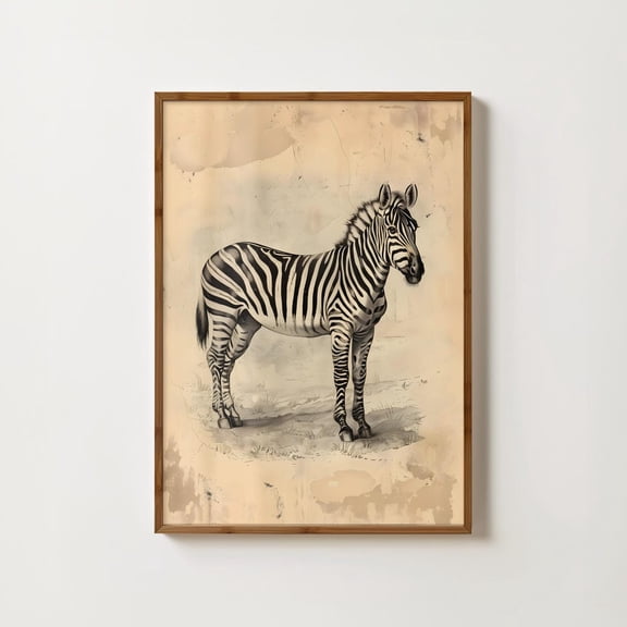Vintage Zebra Print Antique Zebra Wall Art Safari Home Decor Animal Poster Tropical Decor Bedroom Prints Animal Gallery Wall Jungle Wall Art, Poster Only