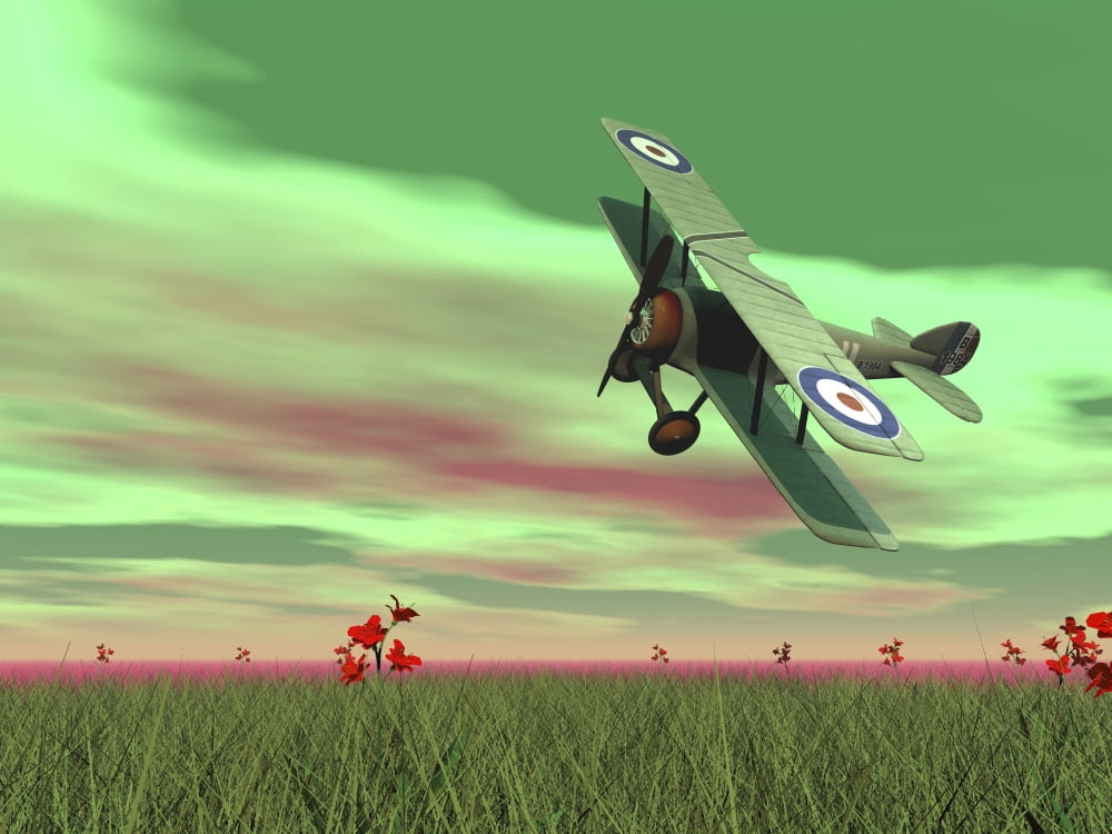 Vintage biplane flying above green grass with flowers by sunset Canvas Art - Elena DuvernayStocktrek Images (17 x 13)