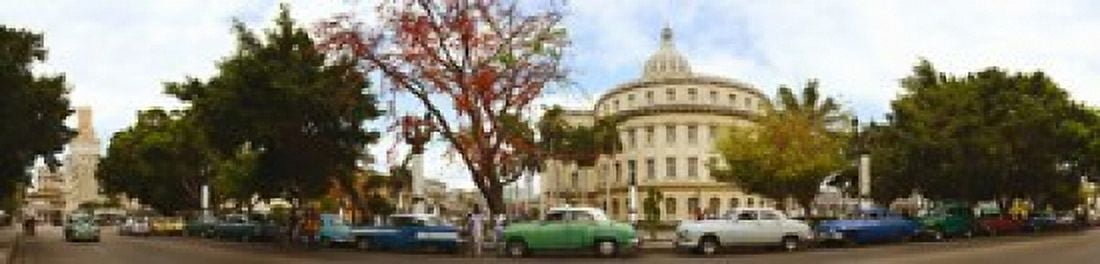 Vintage cars parked on a street Havana Cuba Canvas Art - Panoramic Images (20 x 5)