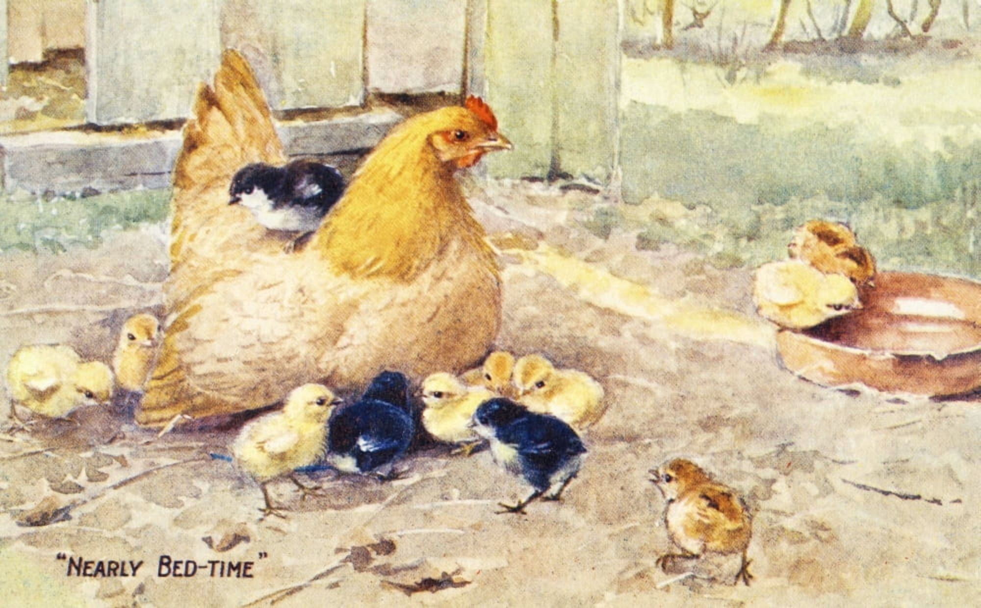 Vintage greeting card with illustration of hen and chicks from 20th century Canvas Art - Remsberg Inc Design Pics (38 x 24)