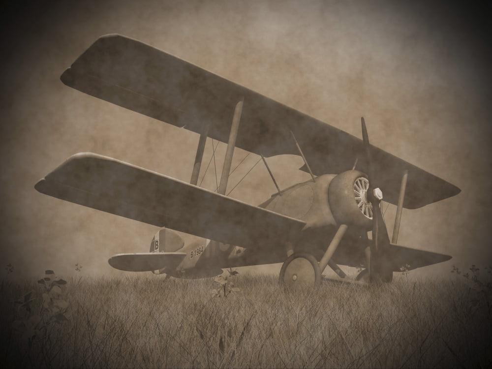 Vintage image of a biplane parked on the grass Canvas Art - Elena DuvernayStocktrek Images (17 x 13)