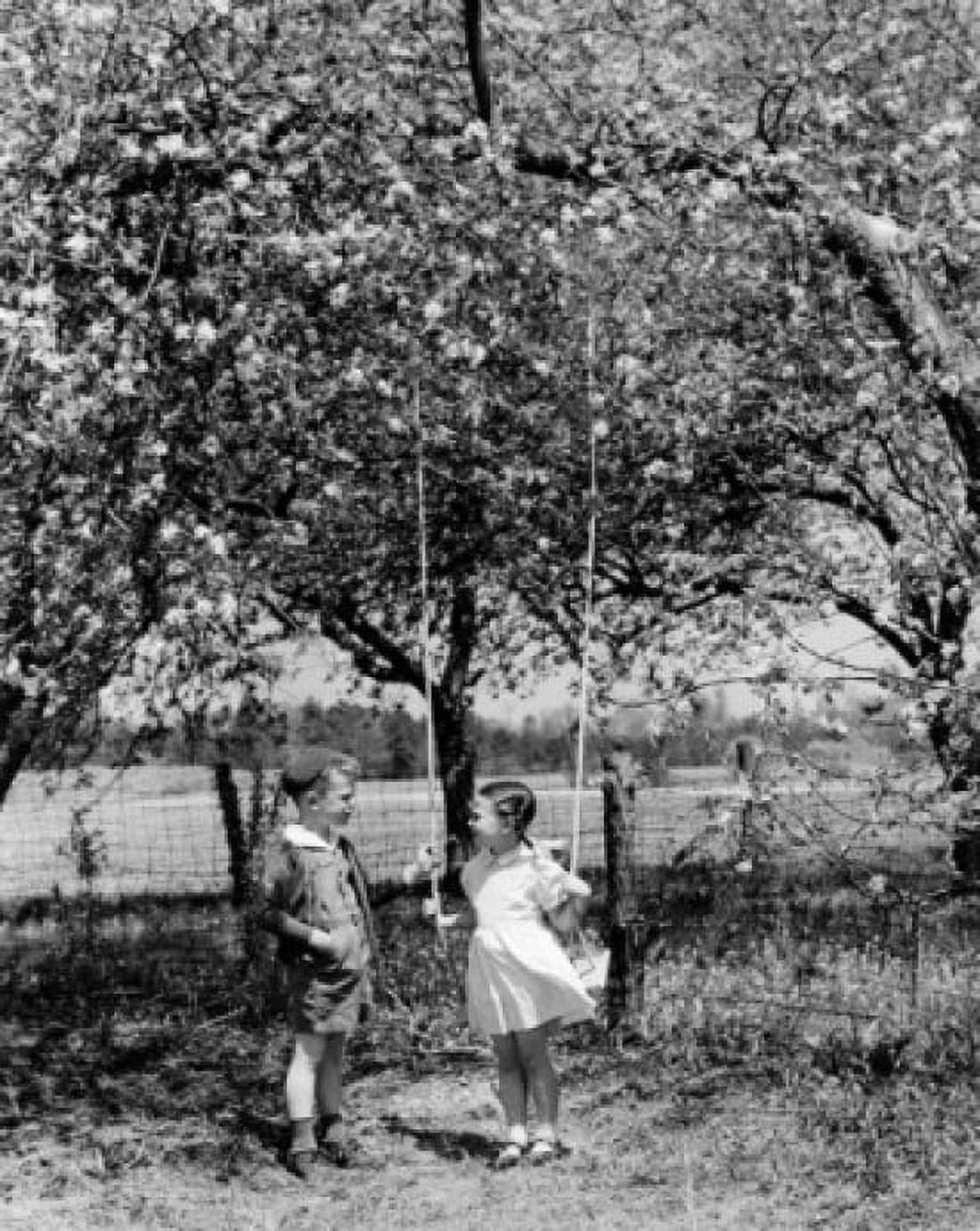 Vintage photograph of boy talking to girl standing with swing under trees in blossom Canvas Art - (24 x 36)