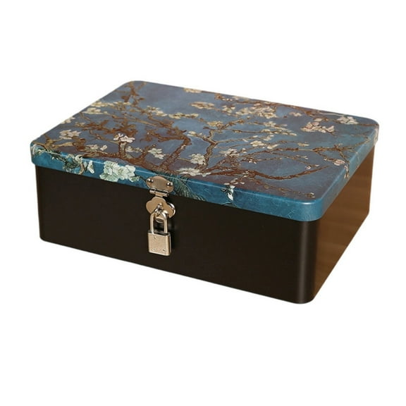 Vintage tinplate box with lock key desktop storage box