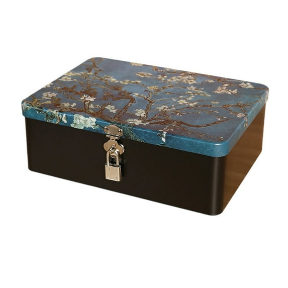 Vintage tinplate box with lock key desktop storage box