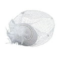 thumbnail image 1 of VintageWedding Fascinator Hat With Netting And Feathers Elegant Headpiece For Ladies For Race Day Events And Bridal Occasions, 1 of 3
