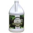 Vintners Best Elderberry Fruit Wine Base 128 oz. Jug