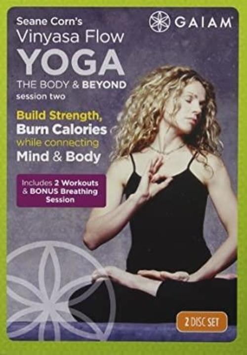 Vinyassa Flow II: Art of Conscious Living (DVD)