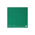 thumbnail image 1 of Vinyl 12x12 Sheet Iron On Matte 12pc Green UPC, 1 of 2