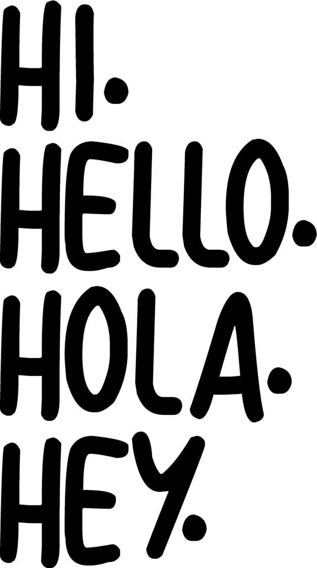 Vinyl Art Wall Decals Hi. Hello. Hola. Hey. Living Room Decor 34" x 19" Office Wall