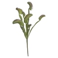thumbnail image 1 of Vinyl Artificial Venus Flytrap Plants - Lifelike Carnivorous Venus Flytrap Plants for Halloween Decorations and Botanical Houseplant Displays, 1 of 8