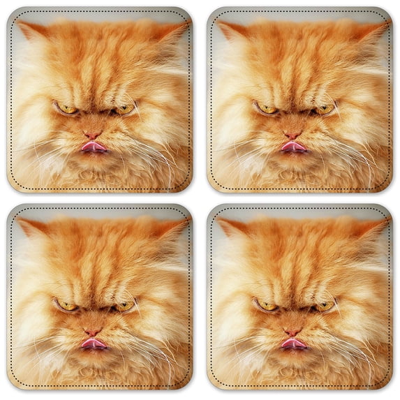 Vinyl Drink Coasters - Set of 4 - Angry Cat
