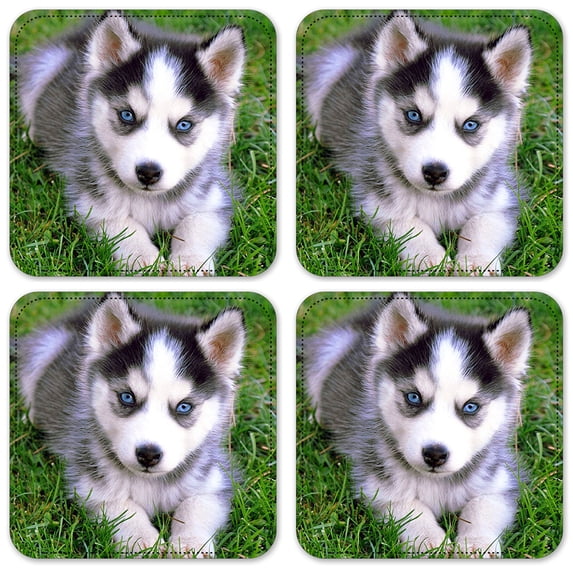 Vinyl Drink Coasters - Set of 4 - Blue Eyes Puppy