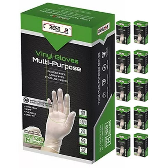 Vinyl Gloves Powder Free - Large Size